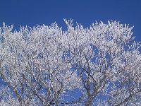 dscn4593.jpg
